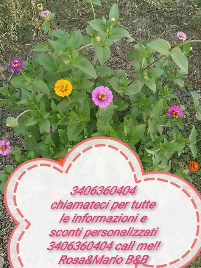 Rosa & Mario B&B Sant'Anna Arresi Bed & Breakfast